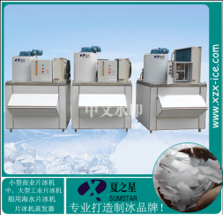 安阳工业片冰机
