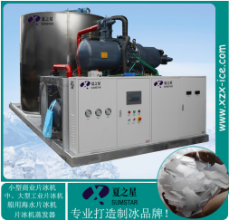 涿州水产加工不锈钢水冷片冰机